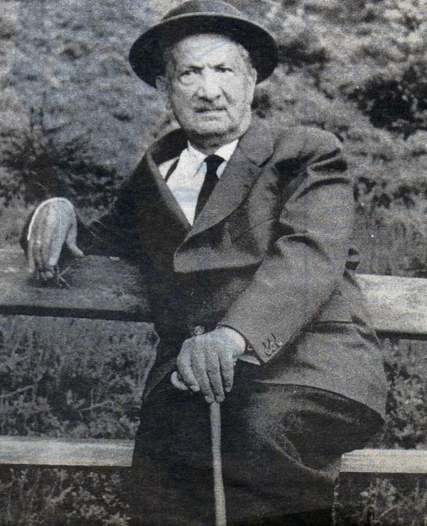 Heidegger anciano